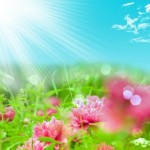 fantasy_flowers_highdefinition_picture_3_166841