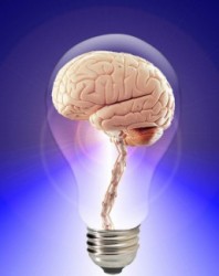 bright_idea_186668