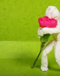 person_holding_flower_188022