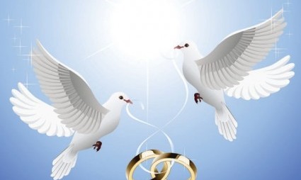 the_pigeons_on_the_ring_dangling_from_vector_163570