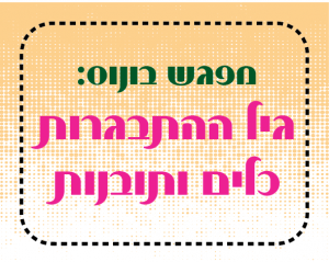 קוביות לסדרת חינוך אינטרנטית-08